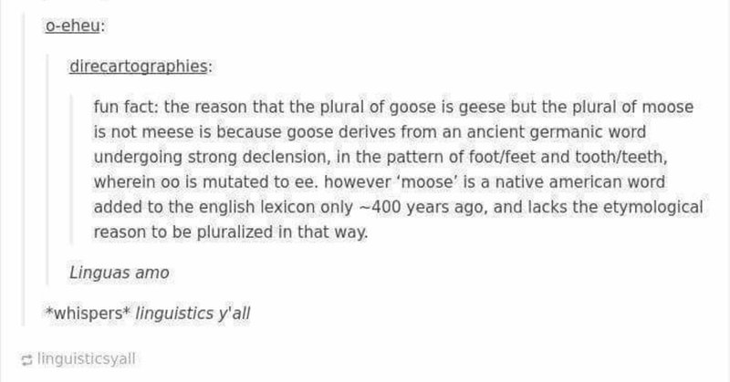 語源あそび②：gooseとmooseとgeeseとmooses