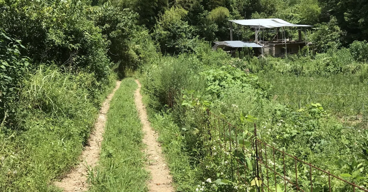 Odada Farm Job Requirements 2/Working Conditions｜一千年の計・小田々農園 自給自足経済圏で豊さ ...