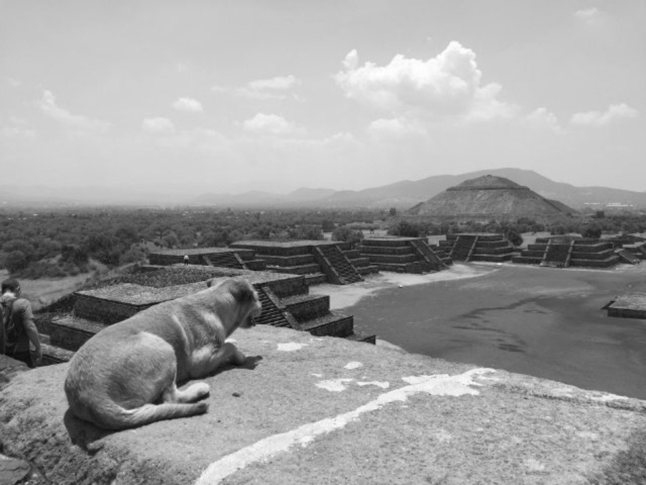 68ab991b744129c78366cffa799907