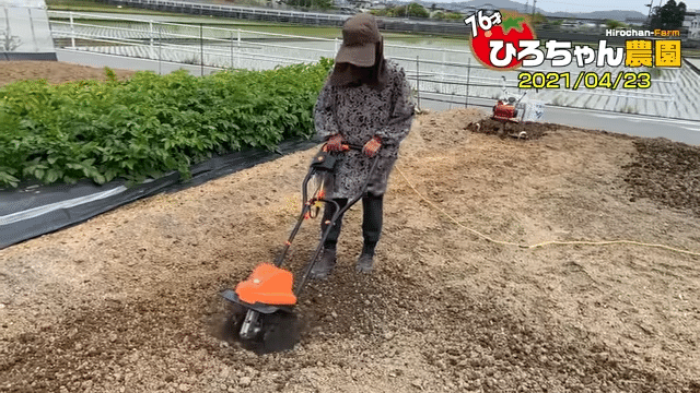 耕運機】耕す造を使った耕運についてご紹介｜井上寅雄農園 / 井上隆太朗