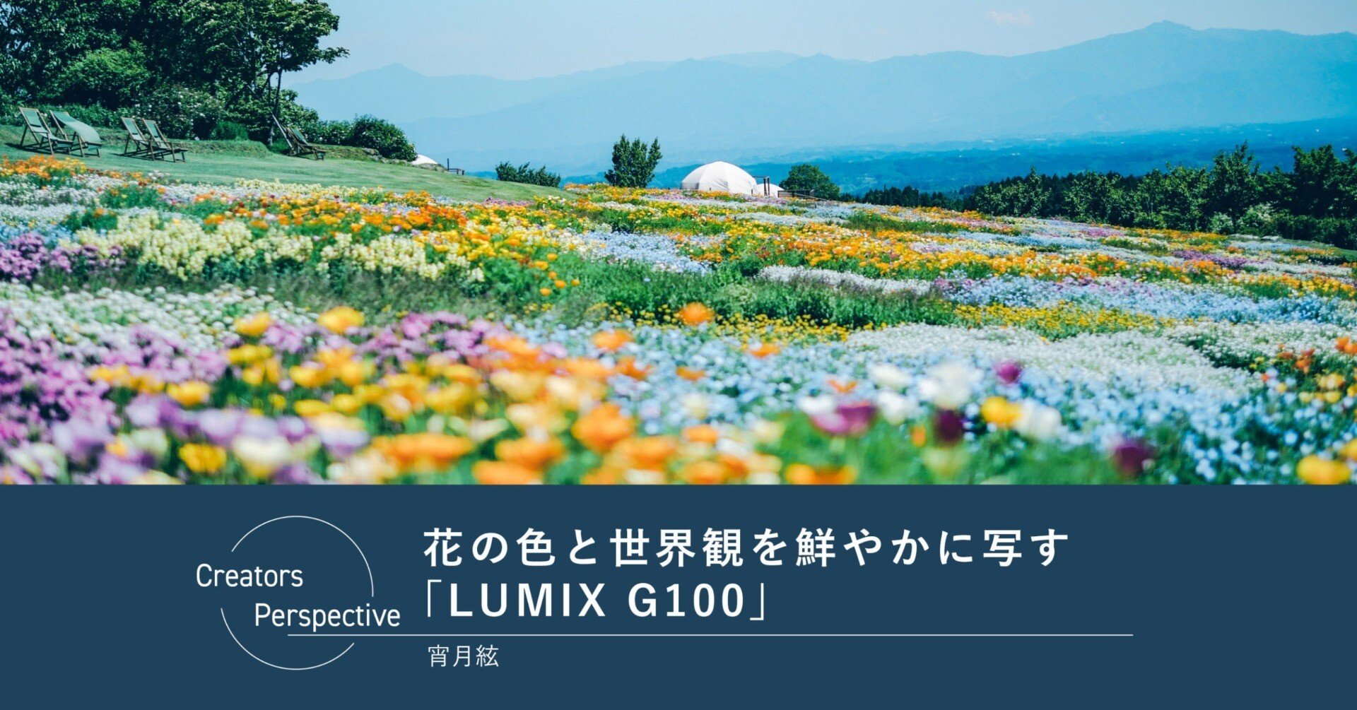 花の色と世界観を鮮やかに写す「LUMIX G100」｜LUMIX Magazine