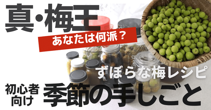 【梅王決定戦】大量の梅を一番おいしく食べる方法は？ずぼらな梅レシピ7選