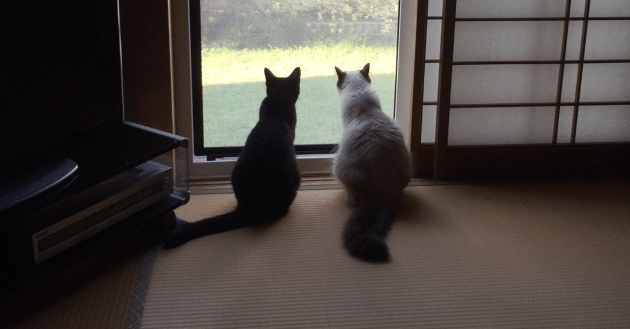 亀山君5代目相棒記念 初期相棒の素晴らしさを改めて伝えたい 傑作5選 くしりん Note 亀山君5代目相棒記念 初期相棒の素晴らしさを改めて伝えたい 傑作5選 くしりん Note