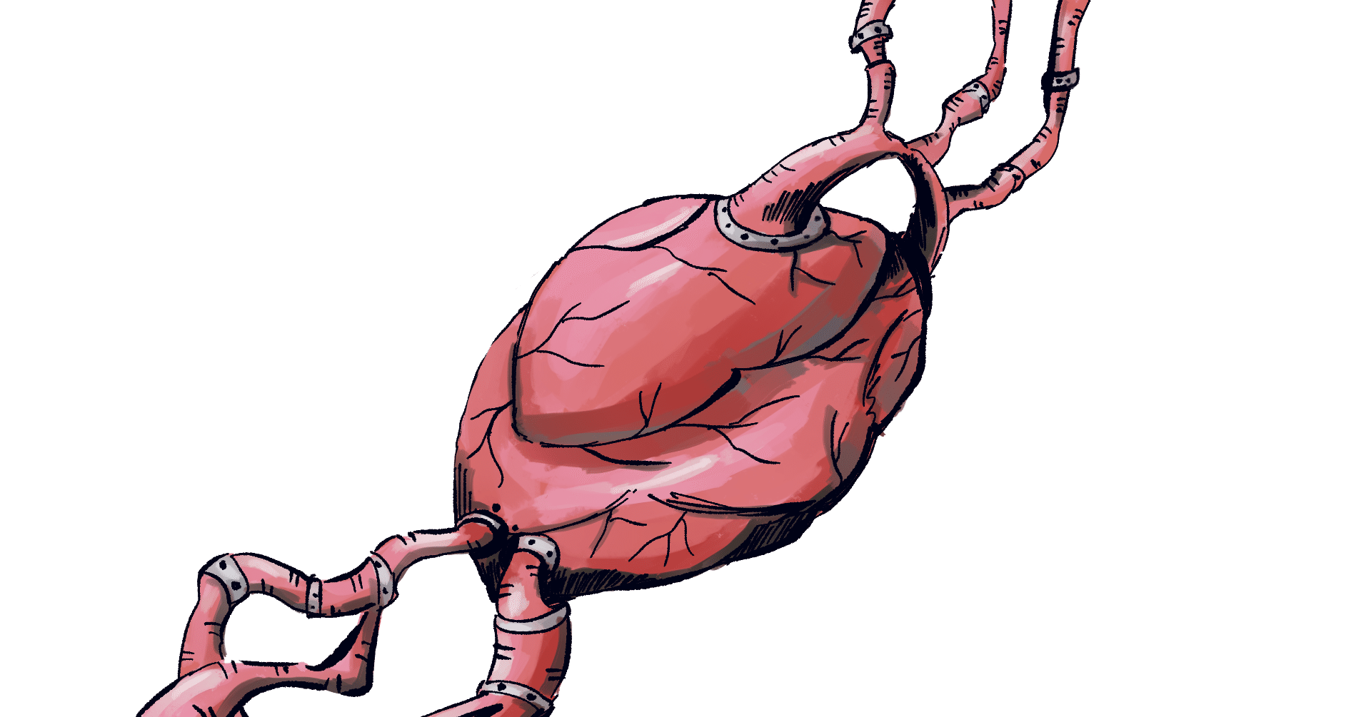 心臓の手綱を握る｜したら