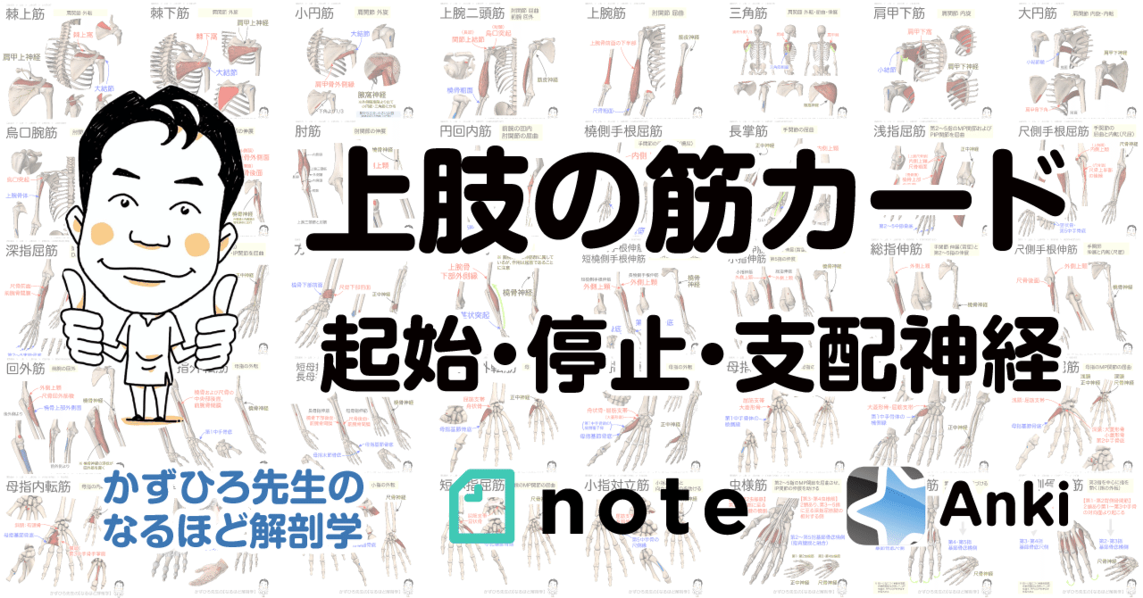rectangle_large_type_2_92dbe9a