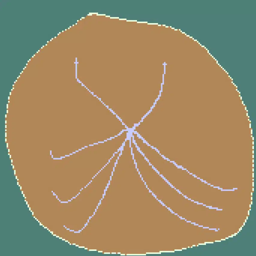 釣ール