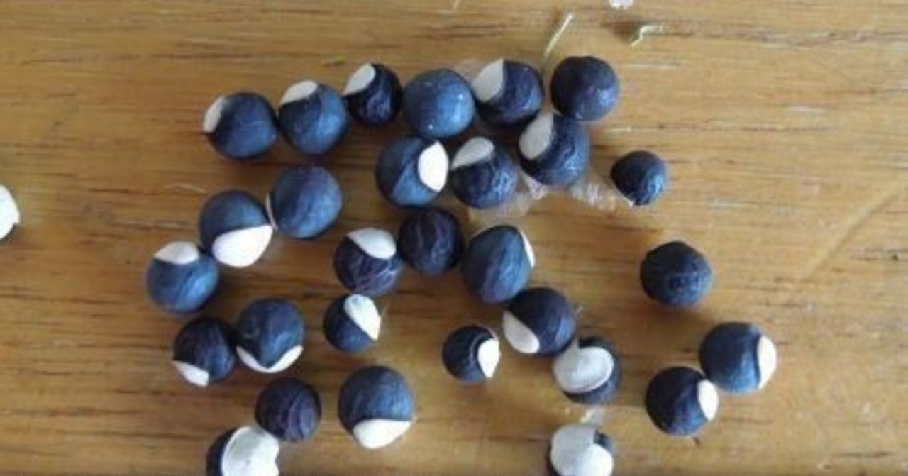 正当な批判であっても無視してよい 品田遊 ダ ヴィンチ 恐山 Note