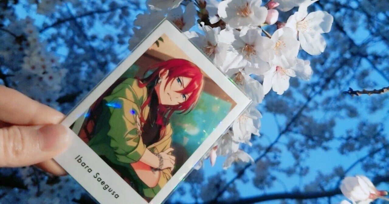 ぱしゃっつを100box買った話2｜時々雨