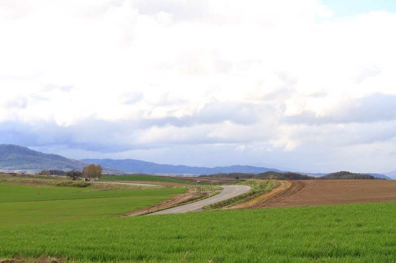 パッチワークの路5月上旬