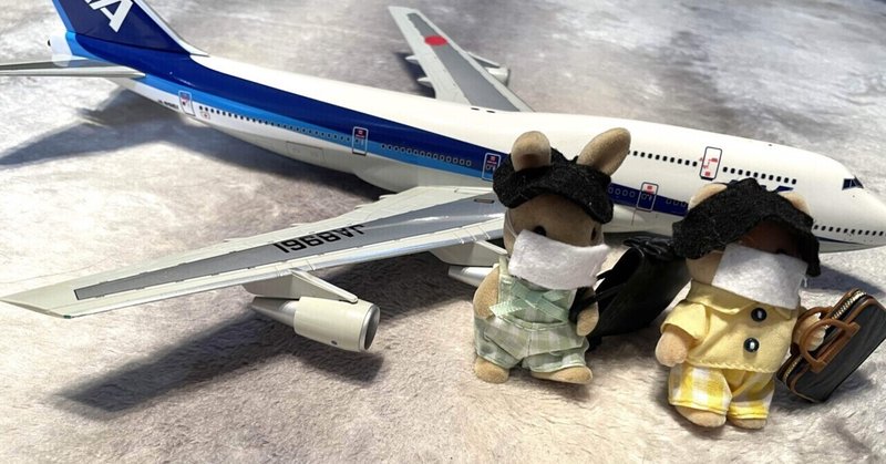 空港写真とは（シルバニア生活21日目）｜はに