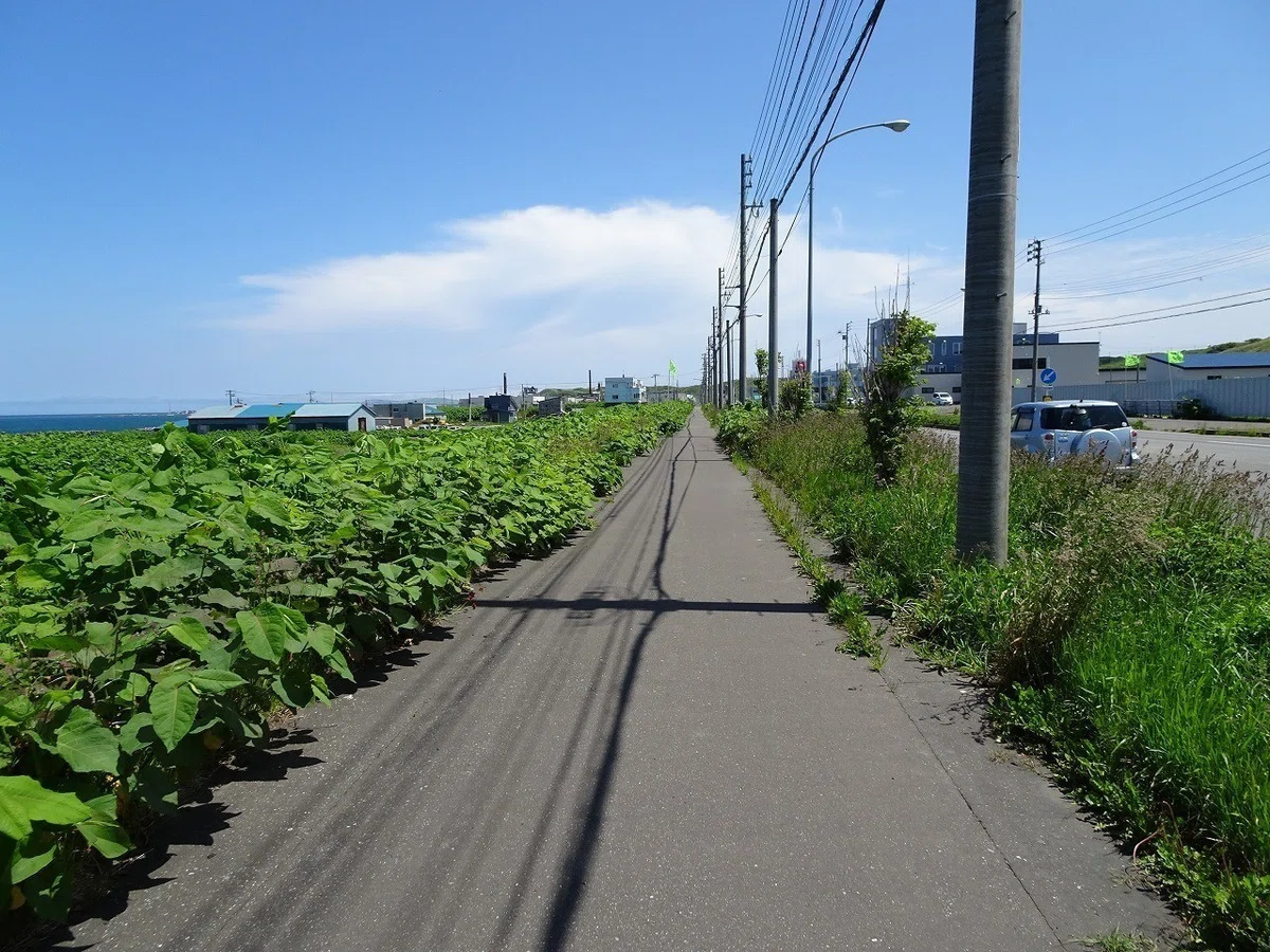 画像12