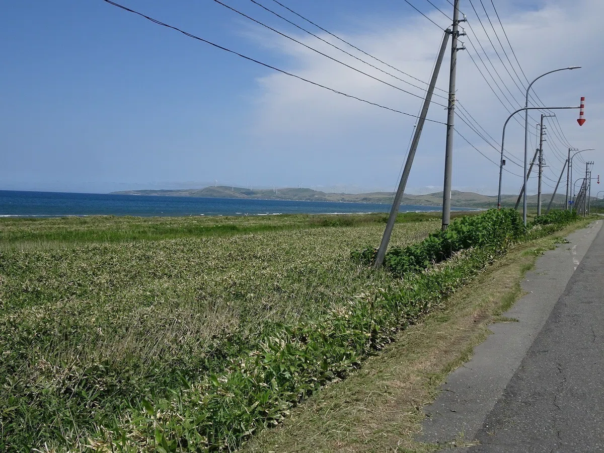 画像22