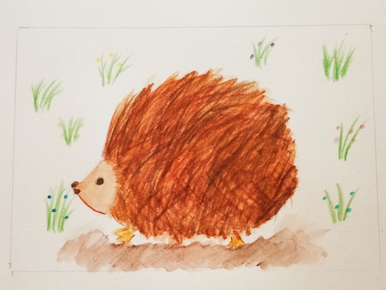 ⭐︎klug⭐︎　いわさきゆうし　ハリネズミ 原画2点セット ハリネズミ｜いもきちとさきち