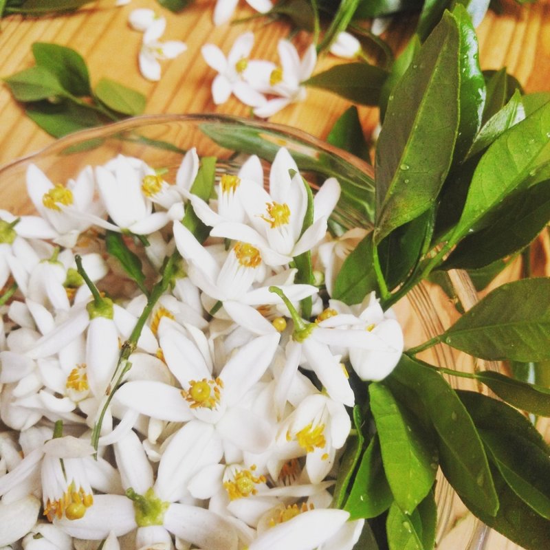 アロマで香りを創るコツ 自分の嗅覚反応に素直になる アロマブレンドデザイナー カタミマキ Note