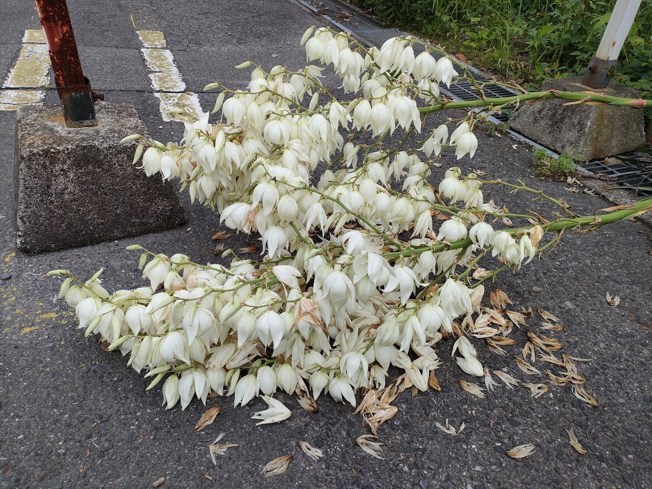 Re Paint 磯貝剛 Note