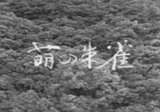 河瀬直美監督「殯の森」を振り返る／森の中でのピアノ録音｜茂野雅道