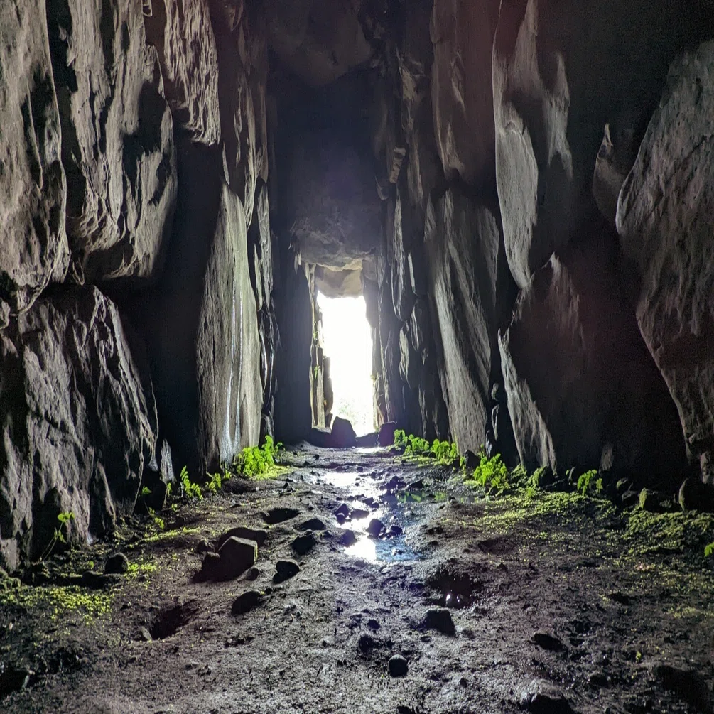 PSA10 古えの墳墓 不毛の大地 虹色の眺望 ほか13枚セット　ＺＮＥ PSA10 古えの墳墓 不毛の大地 虹色の眺望 ほか13枚セット ZNE PSA10