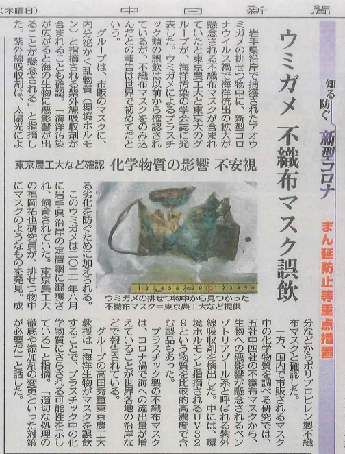 中日新聞　ウミガメ②