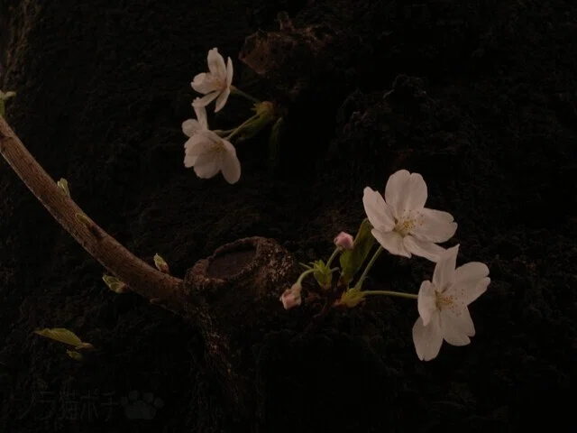 画像28
