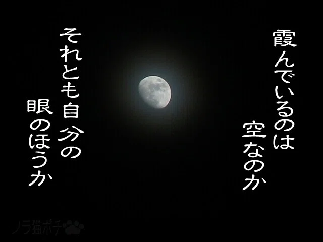モヤモヤ霞むにゃ