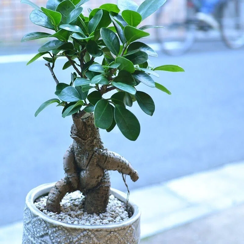 画像7