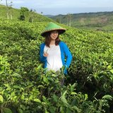 インドネシア紅茶専門家 AYAKO