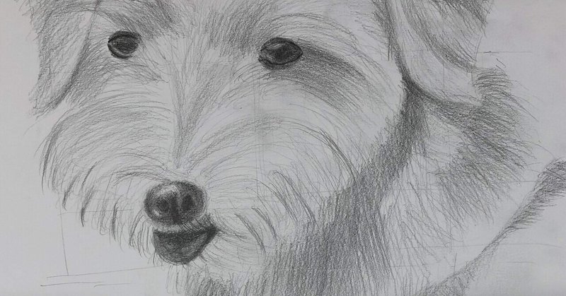 犬のデッサン の新着タグ記事一覧 Note つくる つながる とどける