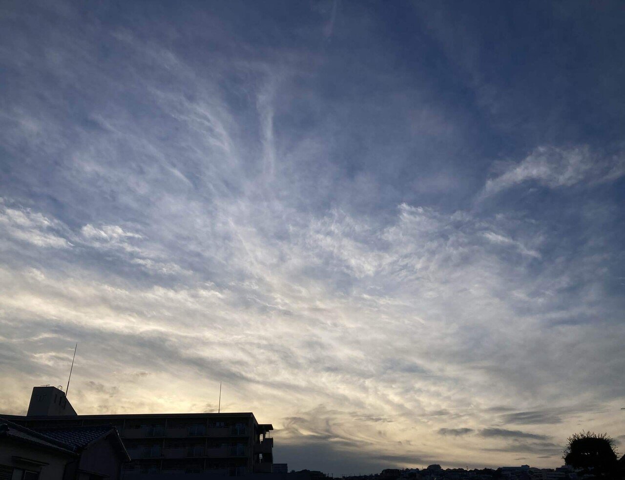 今日は3時頃曇り 雨が降りかける程でしたが夕方6時半過ぎとても綺麗な雲や空と見事に晴れて来てます 太陽は雲の中みたいですが ワンコも散歩しましたよ まあずママ Note