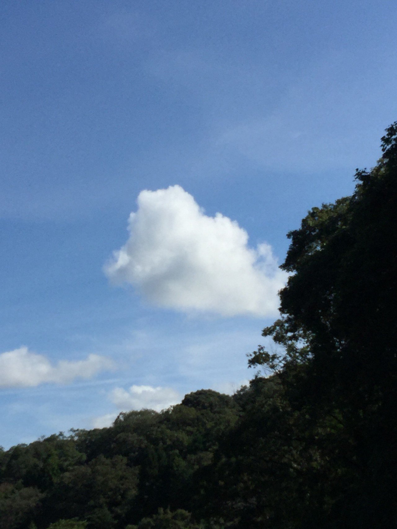 筋斗雲みたいだなぁ 悟空みたいに乗れたらどこにでも行けるのにー けん坊753 Note