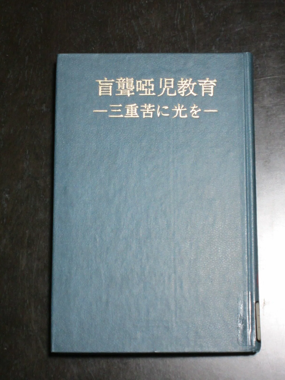 画像4
