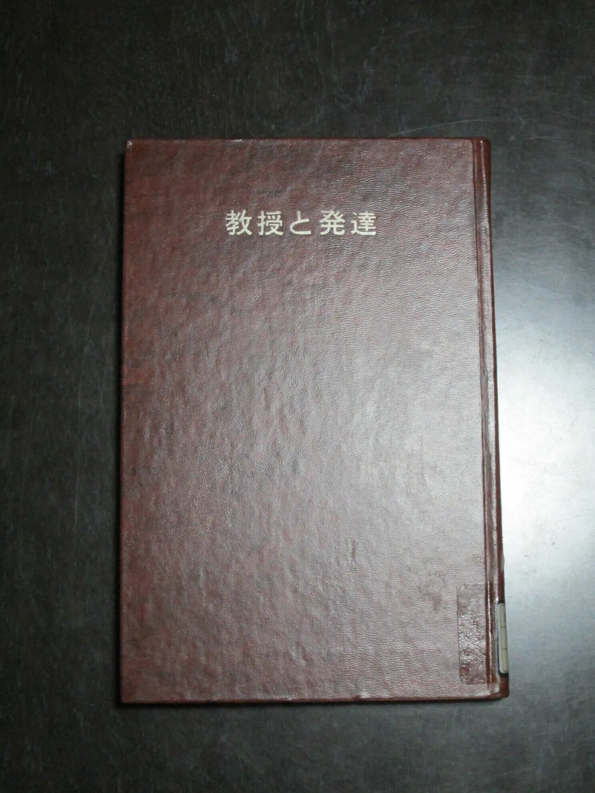 画像7