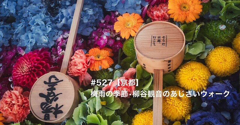 #527【京都】梅雨の季節•柳谷観音のあじさいウォーク
