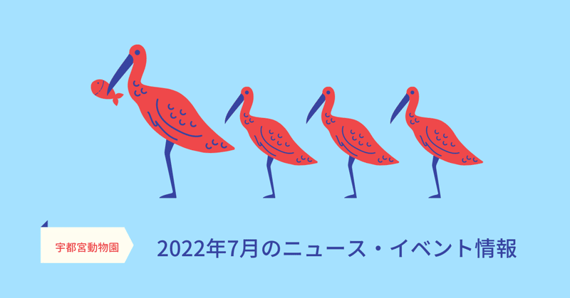 【info】2022年7月の宇都宮動物園
