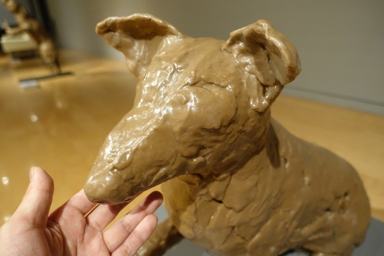 ART】中ハシ克シゲ「触りがいのある犬」＠兵庫県立美術館・県美