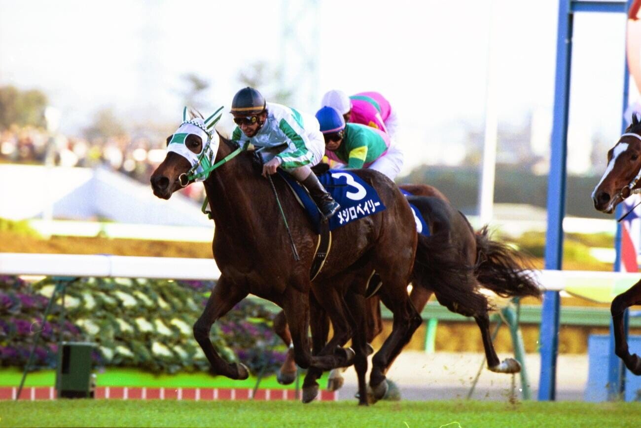 年中無休 Gallop 写真パネル メジロブライト 第117回天皇賞 春 送料無料 Premierseguros Com Br 年中無休 Gallop 写真パネル メジロブライト 第117回天皇賞 春 送料無料 Premierseguros Com Br