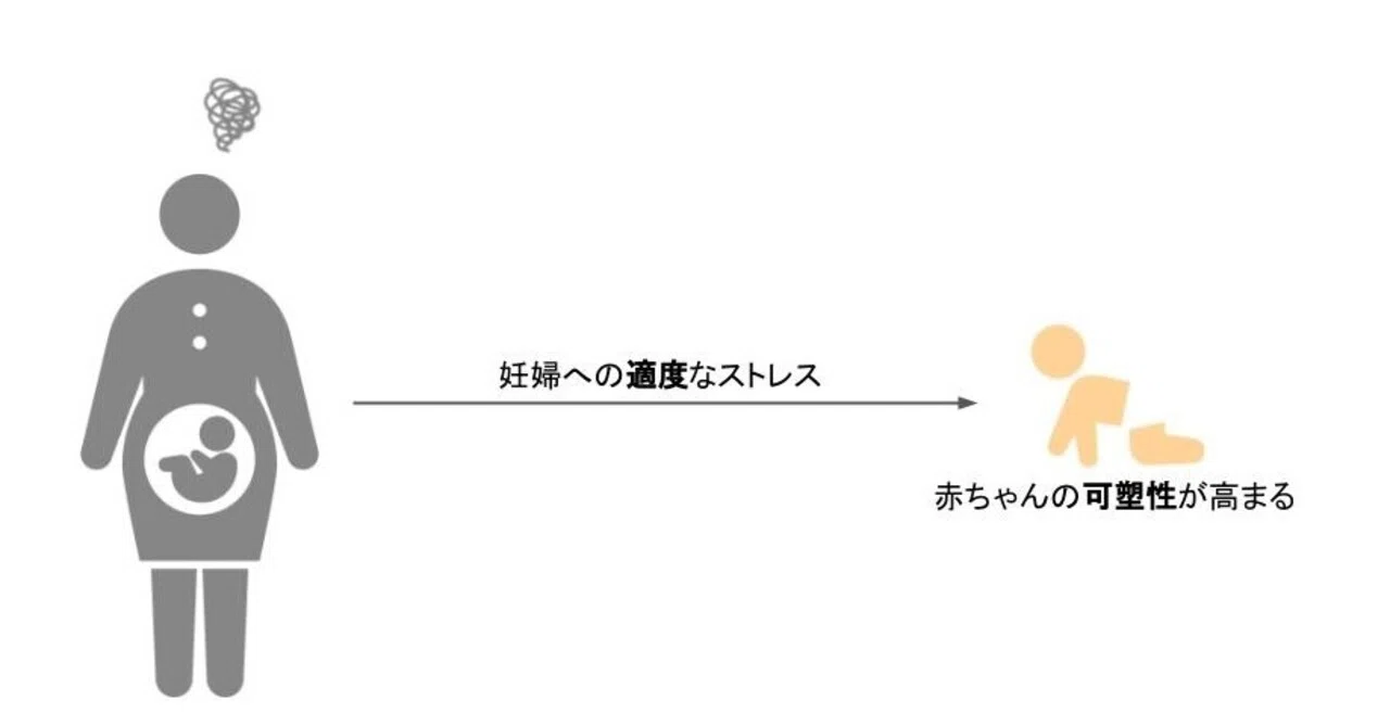 妊娠 中 の ストレス 子供 の 性格