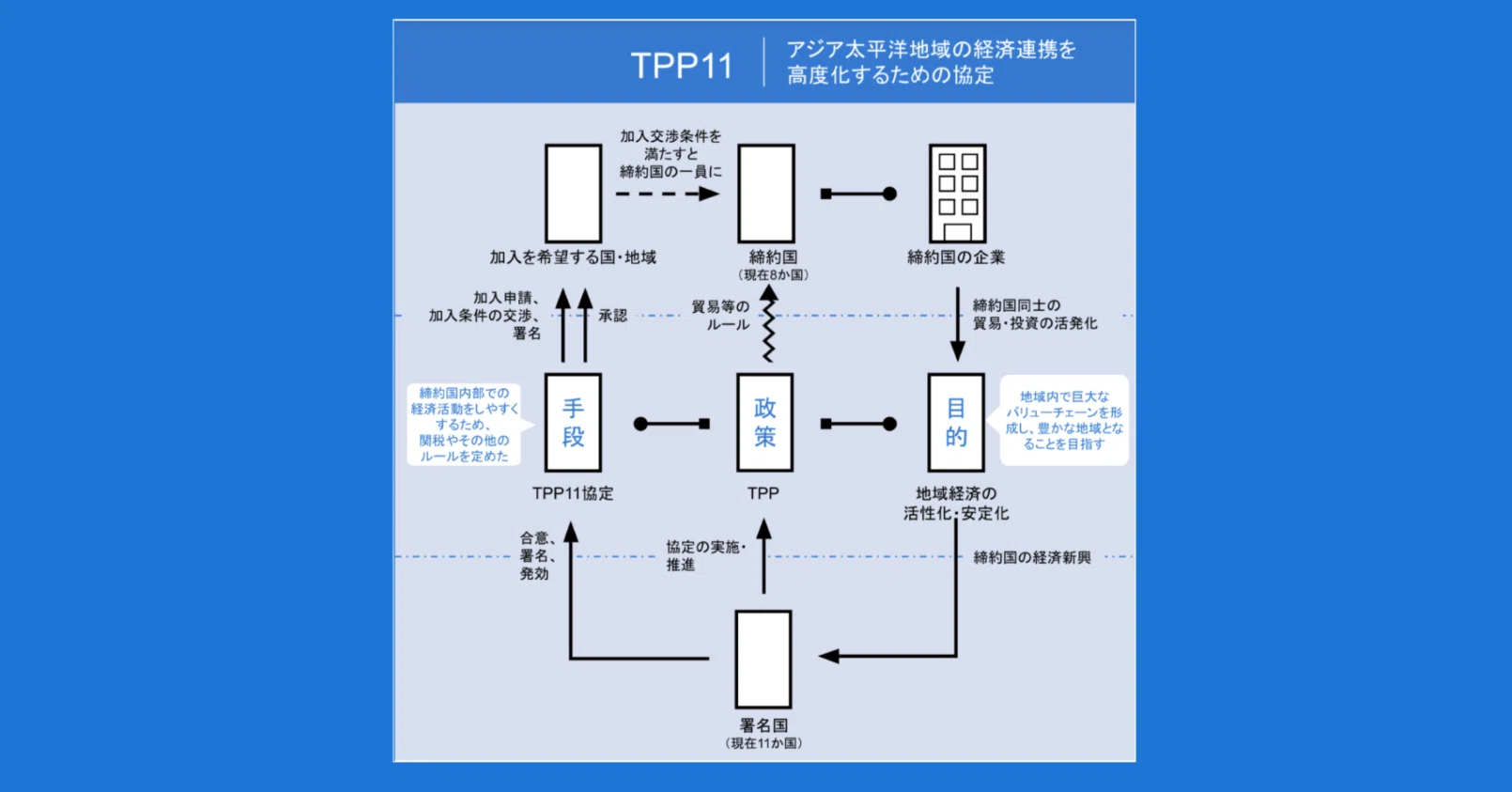 TPP11の図解｜図解総研