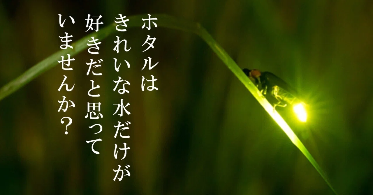 華麗なホタルの舞を町里に再び取り戻すために追い求めたホタルに優しい 