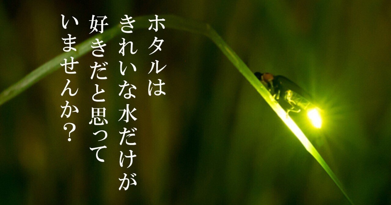 華麗なホタルの舞を町里に再び取り戻すために追い求めたホタルに優しい 光 Uragawa Knowledge パナソニック 華麗なホタルの舞を町里に再び取り戻すために追い求めたホタルに優しい 光 Uragawa Knowledge パナソニック