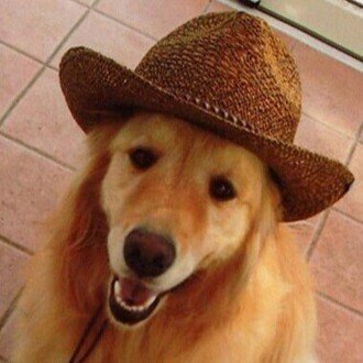 極楽試写会 ルッツ海に生きる 極楽試写会 コラムンの犬 Note 極楽試写会 ルッツ海に生きる 極楽試写会 コラムンの犬 Note