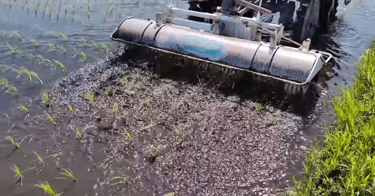 水稲】水田用乗用型除草機のご紹介｜井上寅雄農園 / 井上隆太朗