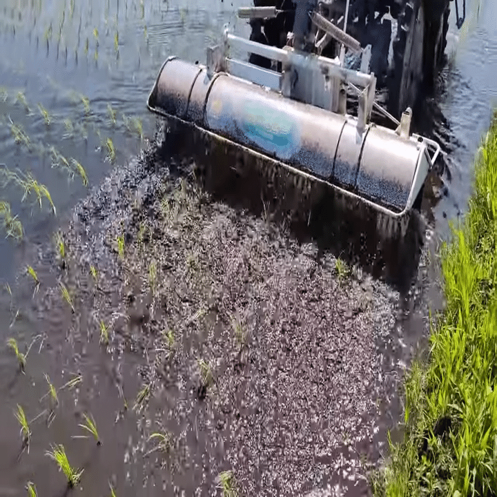 水稲】水田用乗用型除草機のご紹介｜井上寅雄農園 / 井上隆太朗
