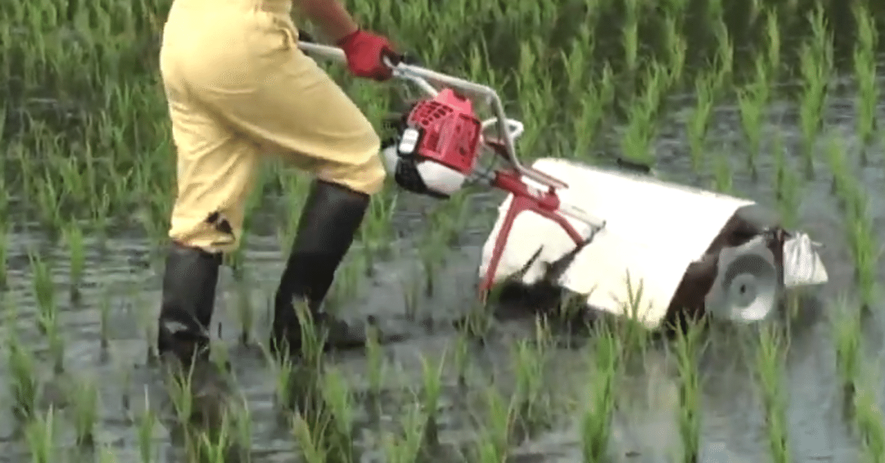 共立 PC3000 水田除草機 KIORITZ（共立） 水田除草機 PCE315 楽天市場