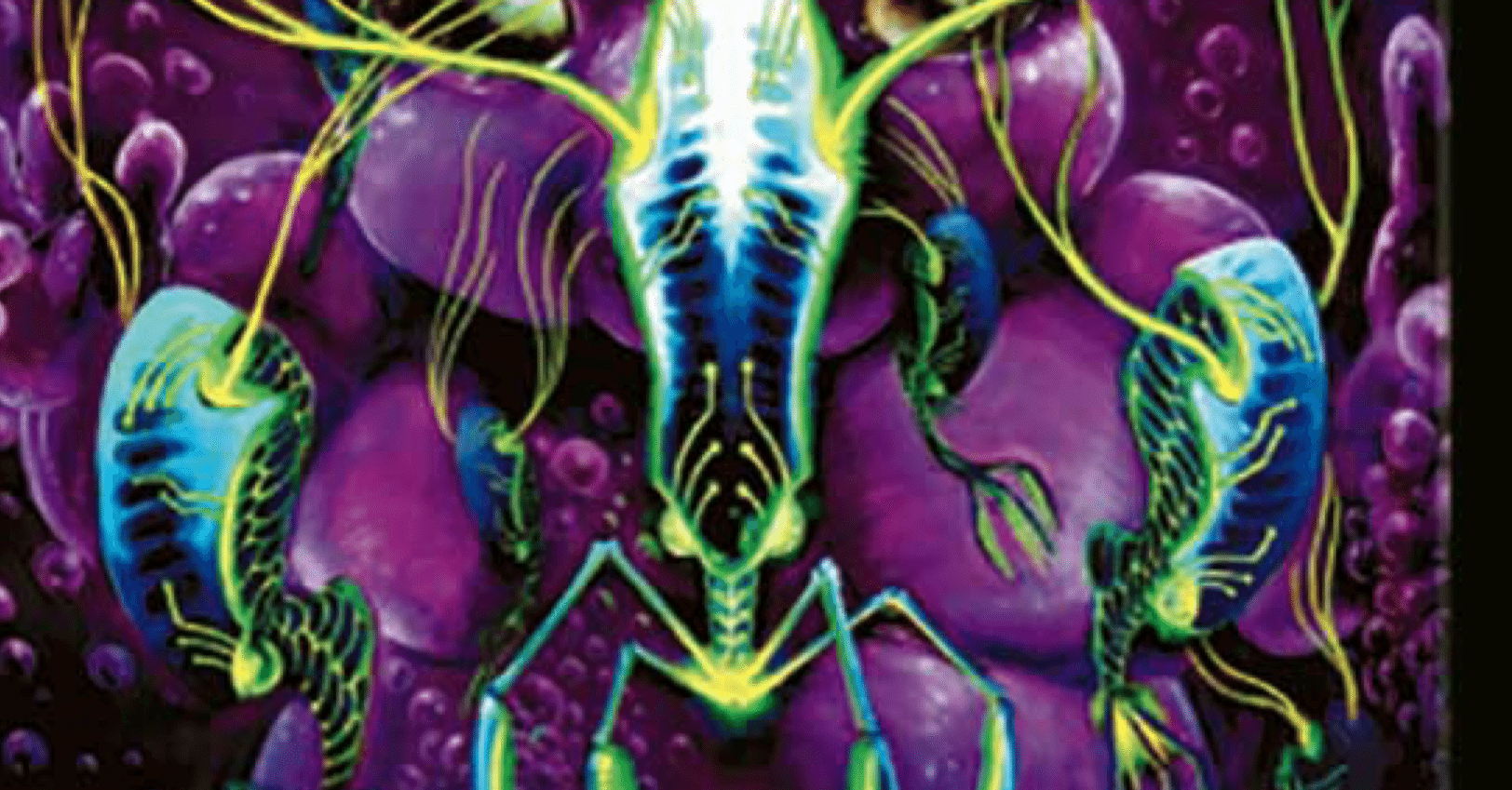 パラダイス・アロマ解除記念デッキ紹介｜しろ