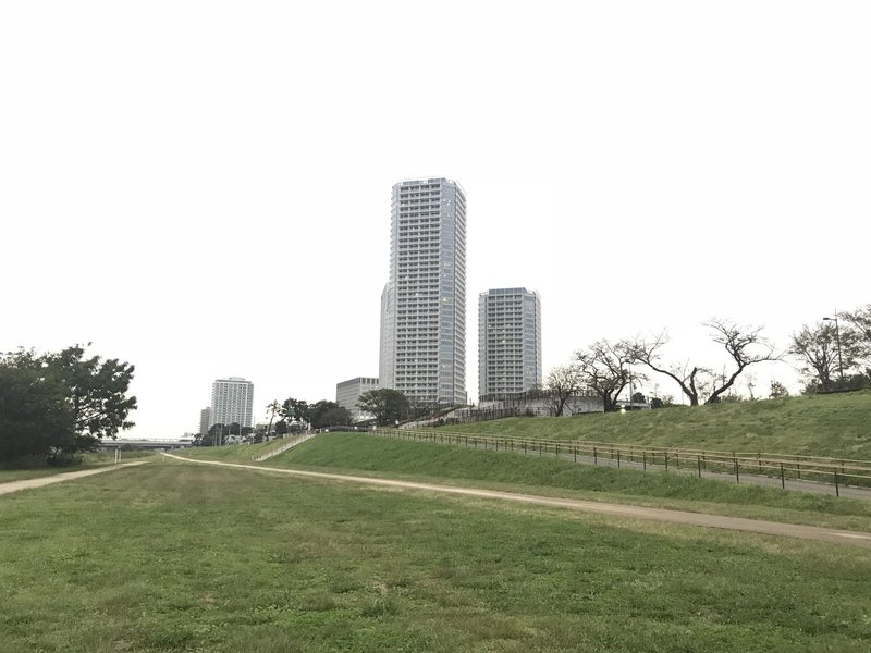 Research4 多摩川河川敷 多摩川 二子玉川 Taigamatsuoka Note Research4 多摩川河川敷 多摩川 二子玉川 Taigamatsuoka Note