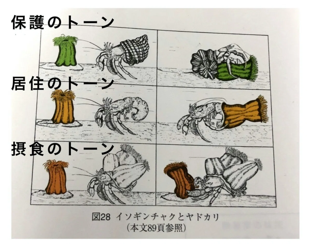 画像10