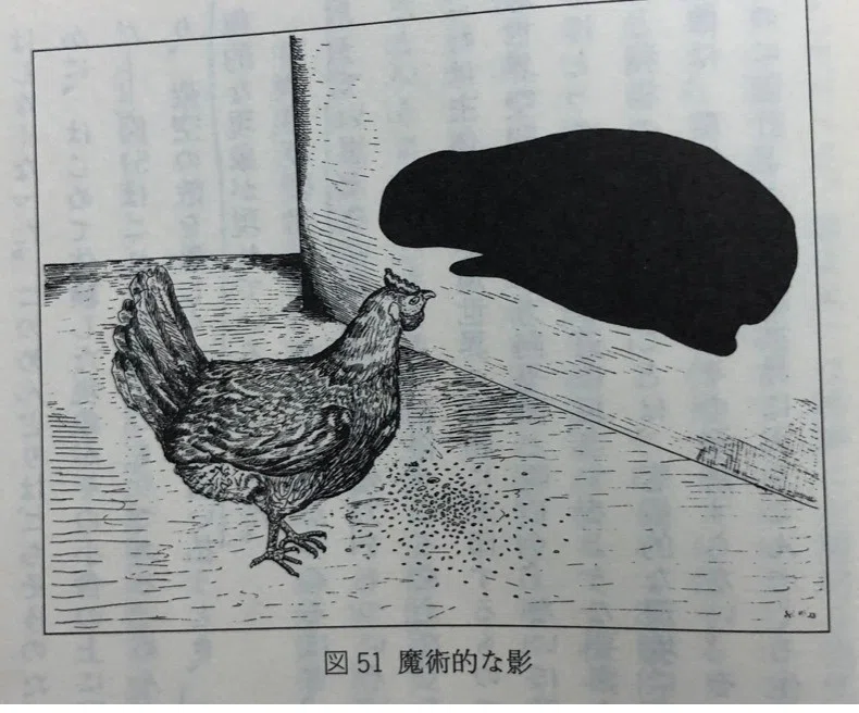 画像14