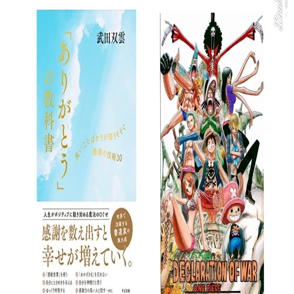One Piece 武田双雲 ありがとう から生まれる奇跡のチカラ 山野 礁太 ライター One Piece学 研究家 Note
