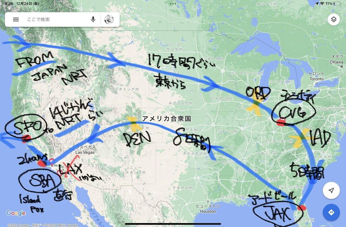 シマハイイロギツネ 他]2022年初夏、アメリカ周遊。ビールと動物園、アードウルフ。写真多め。｜cincy_aki