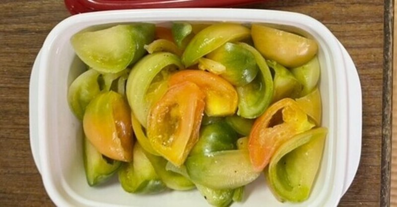 修養科潜伏日記　-1日目